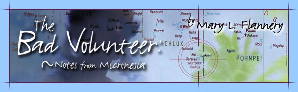 The Bad Volunteer by Mary Flannery